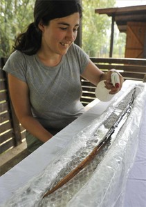 Una arqueóloga trabaja con el arco de madera de tejo fechado alrededor de 5.400-5.200 a. C. que ha sido hallado en Banyoles.