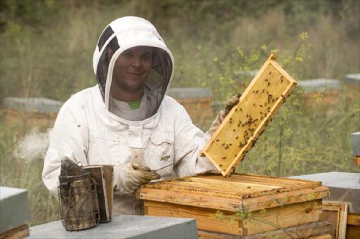 «Le pedía que me pagara con abejas, no con dinero»