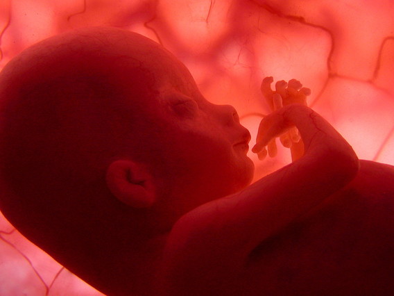 El feto responde desde las 16 semanas a música emitida por vía vaginal