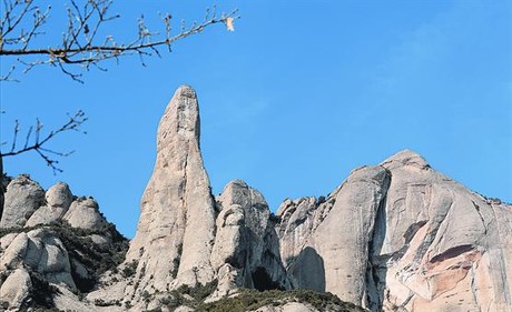 El Cavall Bernat, l'agulla més emblemàtica de Montserrat, s'aixeca davant la paret dels Diables, on es distingeix el Plàtan (dreta) que acull la via Tarragó.