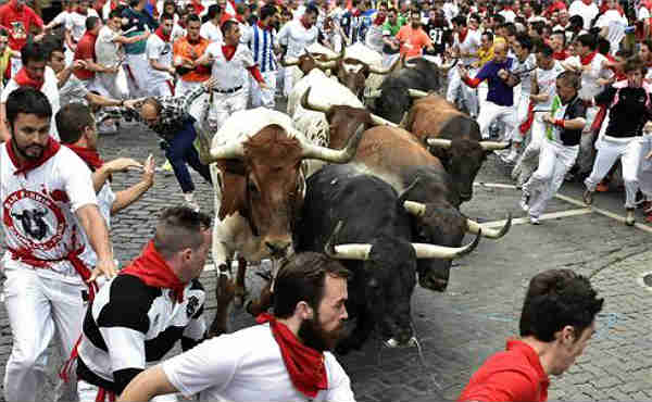 Debutan los toros de Joselito en las calles de Pamplona en la segunda jornada de San Fermn 2015 con un encierro rpido  y limpio con solo un herido por hasta de toro.