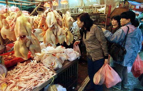 Mujeres chinas compran pollo en un mercado.