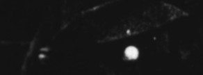 Un fotograma de 'En la noche y el hielo', la primera pellcula que es va realitzar sobre l'enfonsament del transatlntic.