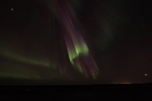 Auroras de marzo de 2015 en Islandia. Foto: Thomas M. Marsella