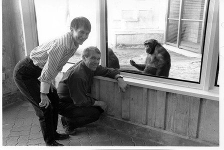 Roger i Deborah Fouts, amb la ximpanzé Washoe, en una imatge d'arxiu. 