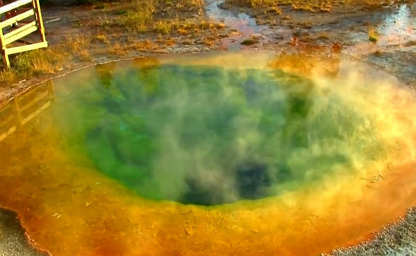 Las monedas acumuladas durante aos en la piscina natural Morning Glory de Yellowstone ha cambiado el color de sus aguas.