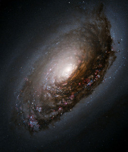 Un agujero negro rodeado de una galaxia convencional.