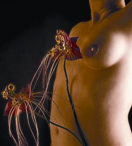 Una flor tapa la marca dejada por la amputación de un pecho en una de las fotografías de la exposición 'El pit al descobert'.