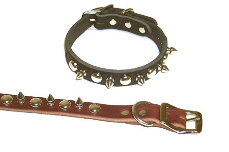 Ejemplo de un látigo y un collar de los que se usan para prácticas sadomasoquistas.