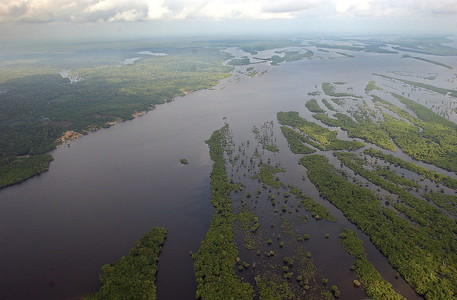 La Amazonia brasileña.