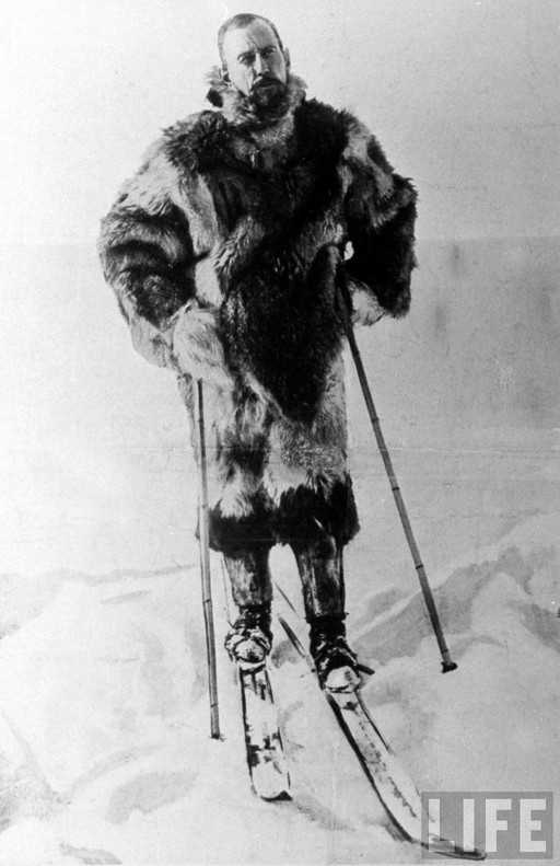 Ballena barba Escalera Ejercicio mañanero Primera expedición al Polo Sur: ¿Por qué Amundsen llegó antes?