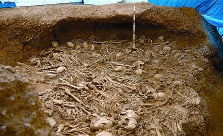 Algunos de los restos humanos del neolítico hallados durante los trabajos del AVE en La Sagrera.