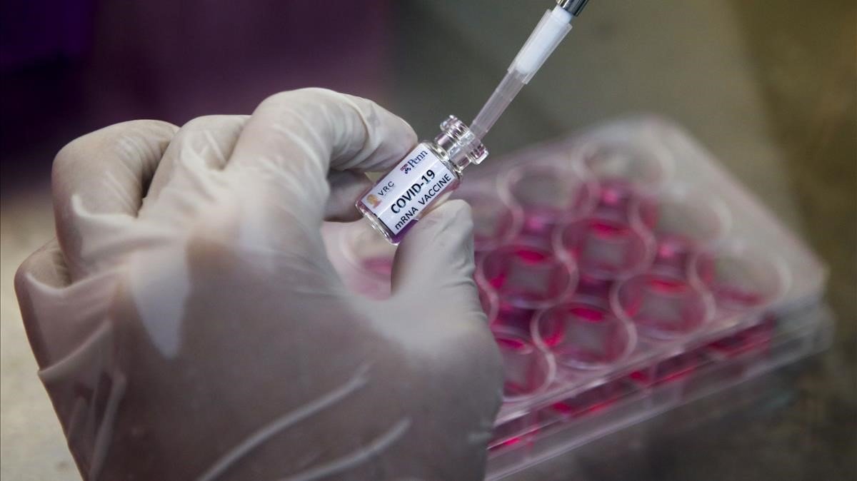 Rusia prueba en humanos vacunas contra covid-19