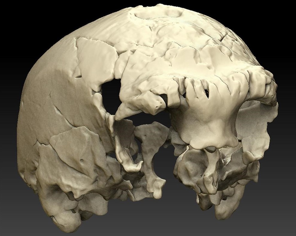 Descubierto en Portugal un extraño cráneo humano de hace 400.000 años