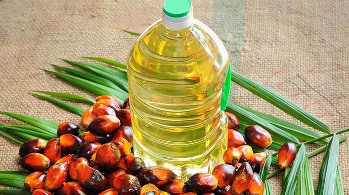 Resultado de imagen de aceite de palma