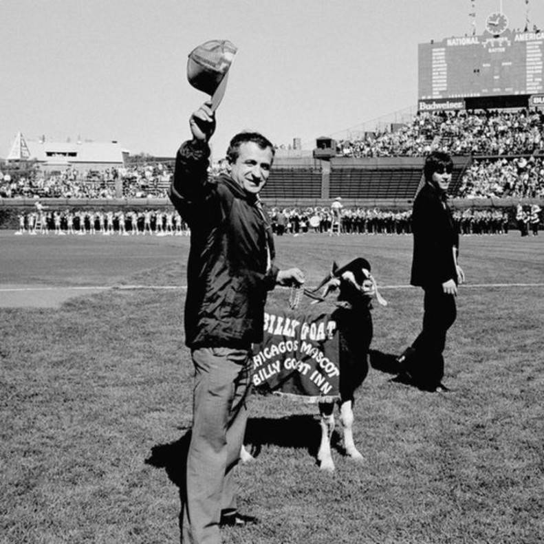 Telediario 1: Los Chicago Cubs, campeones de las Series Mundiales