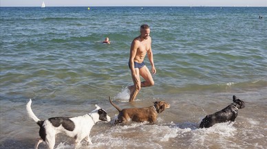 La playa de perros de Barcelona ha retrasado este ao su apertura