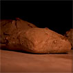 Pan con nueces - Anna Bellsolà