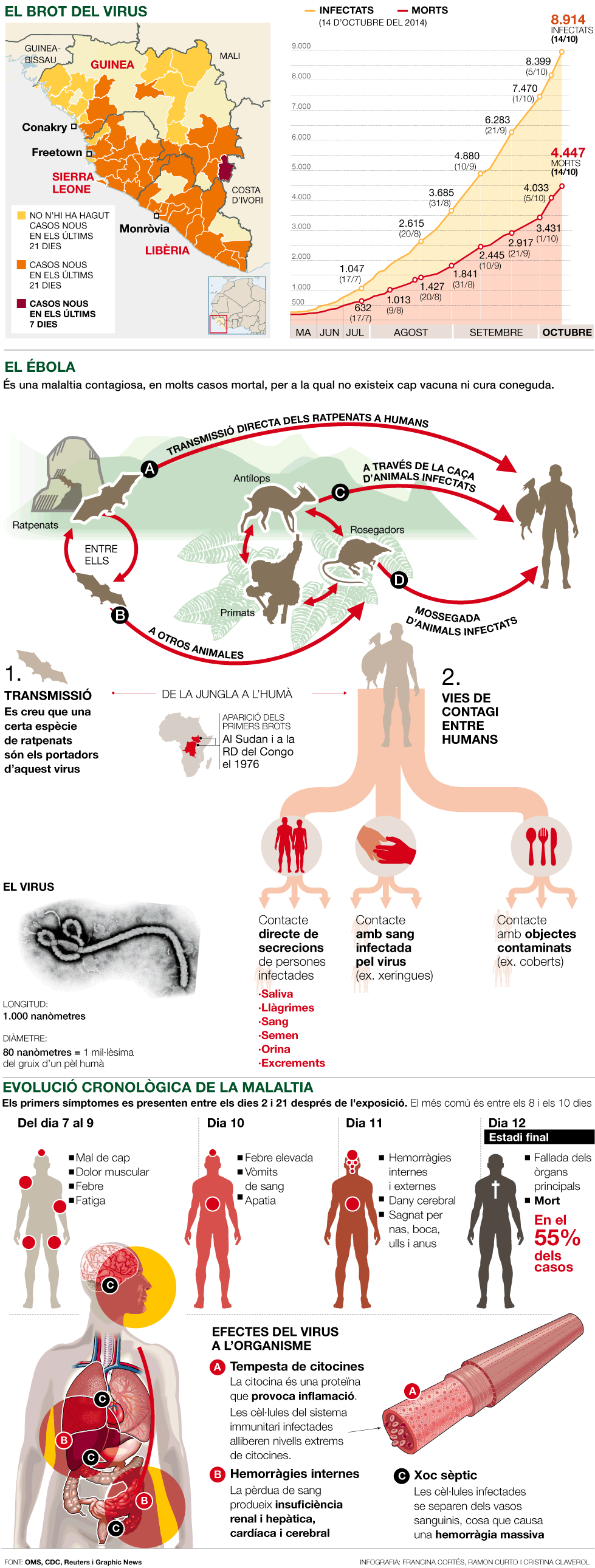 ebola brot zones transmision