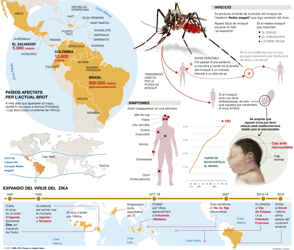 L'expansion del virus Zika en el mn i les seves conseqncies